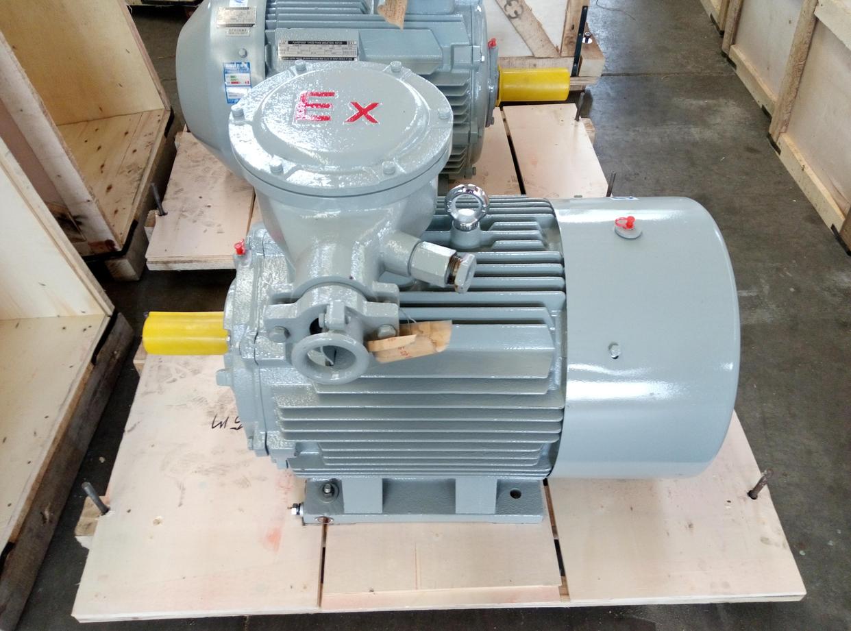 南阳防爆变频电机型号有哪些？