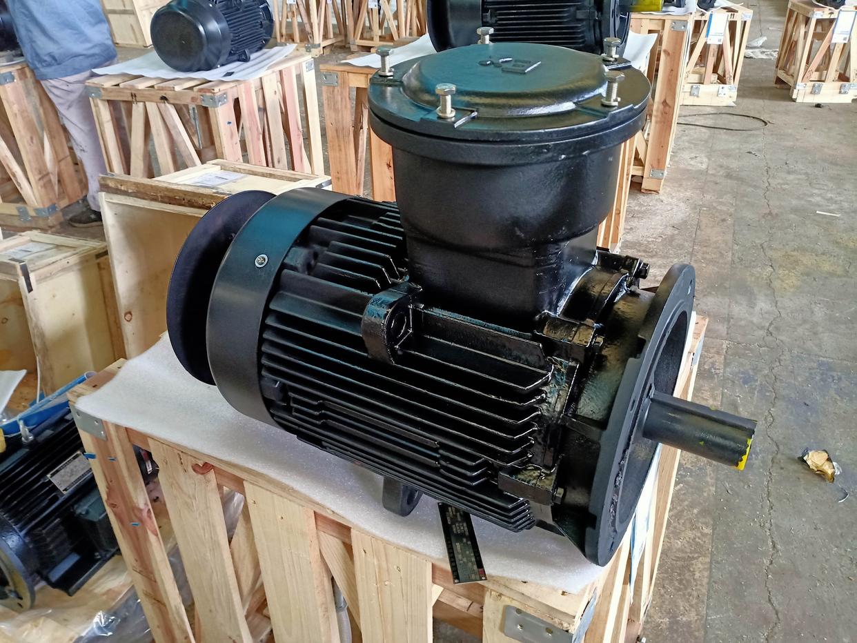 南阳低压防爆电机型号和参数说明