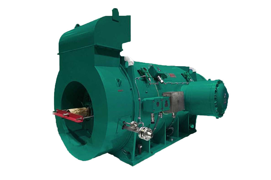 TY系列高压隔爆型变频永磁三相同步电动机