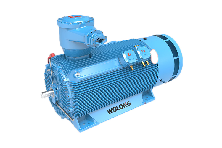 YBX3系列高压高效隔爆型三相异步电动机（机座号355～560）