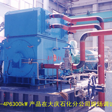 大庆石化（2006年 ，1台）