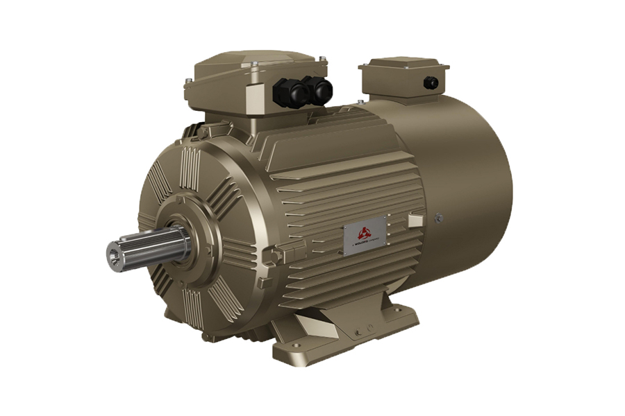 WEBP系列变频调速三相异步电动机(中心高80~355）