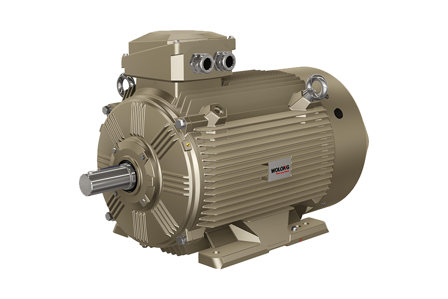 WEPM5&WEPM变频调速永磁同步电动机