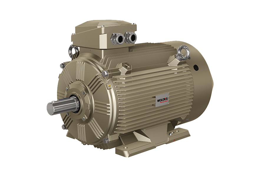 WERMA5系列永磁辅助磁阻同步电动机