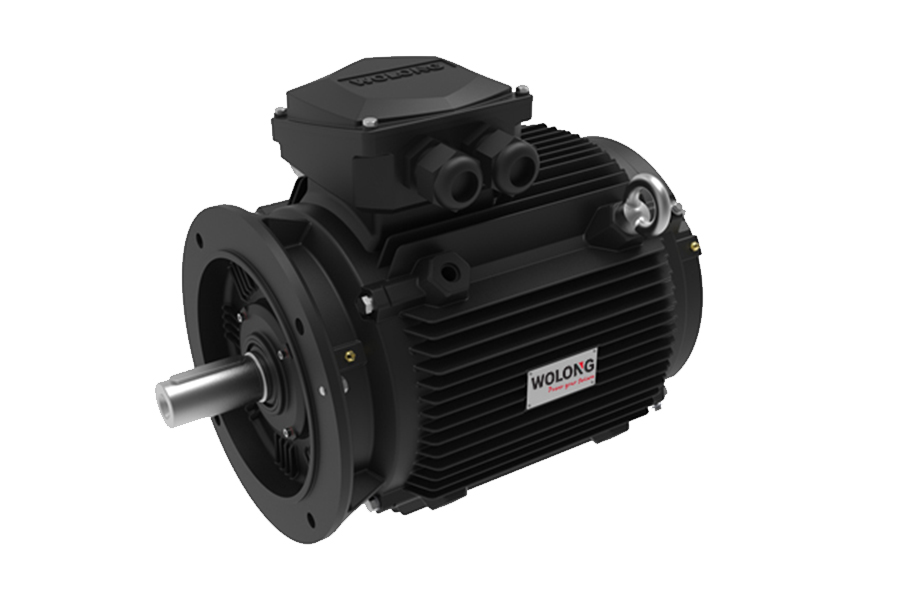 TYCP5系列低速直驱永磁同步电动机